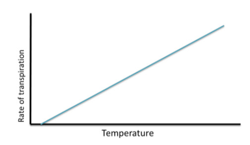 <p>how is the rate of transpiration affected by temperature</p>