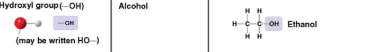 <p>Hydroxyl</p>