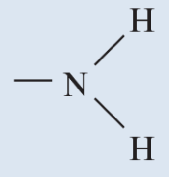 <p>Found in proteins and nucleic acids</p>