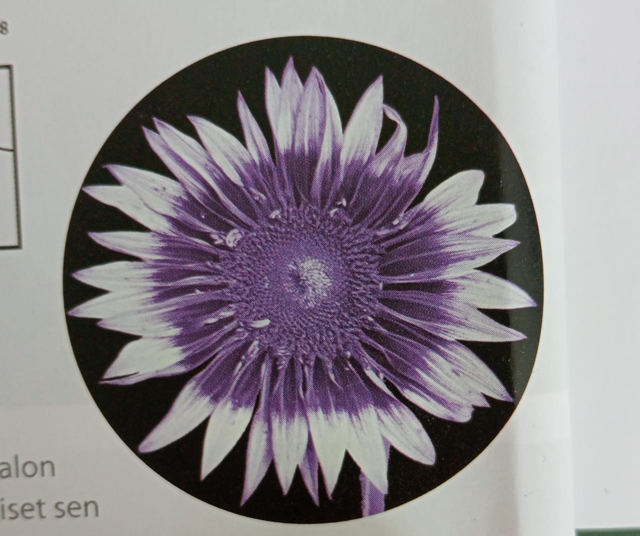 <p><strong><mark data-color="purple">Uusi tieto!</mark></strong></p>