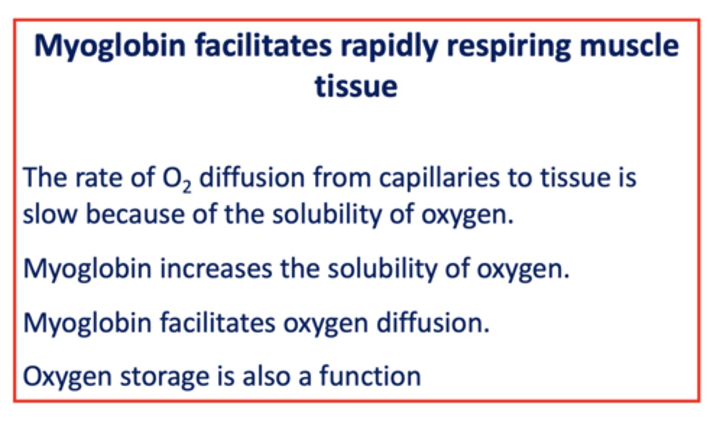<p>oxygen</p>
