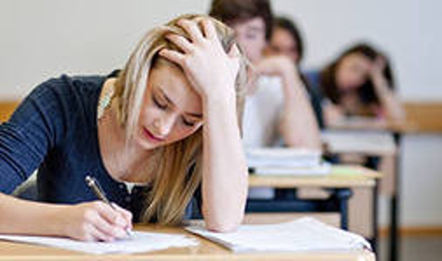 <p>el examen</p>