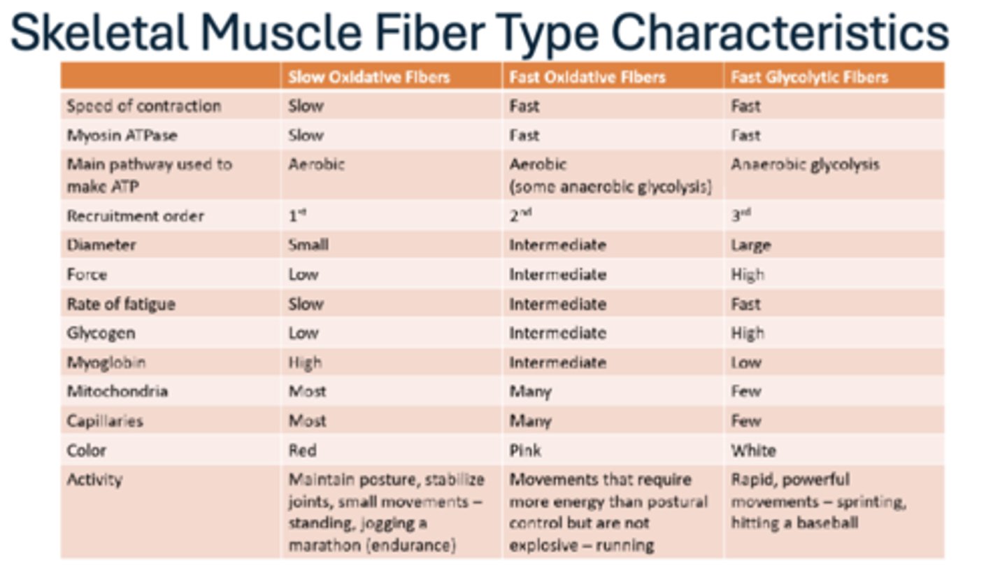 <p>refer to image</p>