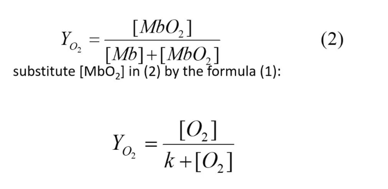 <p>This is the fraction of O<sub>2</sub>&nbsp;- O2-binding site occupied by O<sub>2</sub>, pretty much, how many myoglobin molecules actually have oxygen bonded to them.</p><ul><li><p>There are two fractional saturation formulas</p></li></ul><p></p>