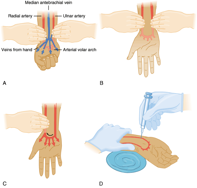 <p>measures dissolved oxygen and carbon dioxide in arterial blood and reveals acid=base state and how well oxygen is being carried to the body</p>