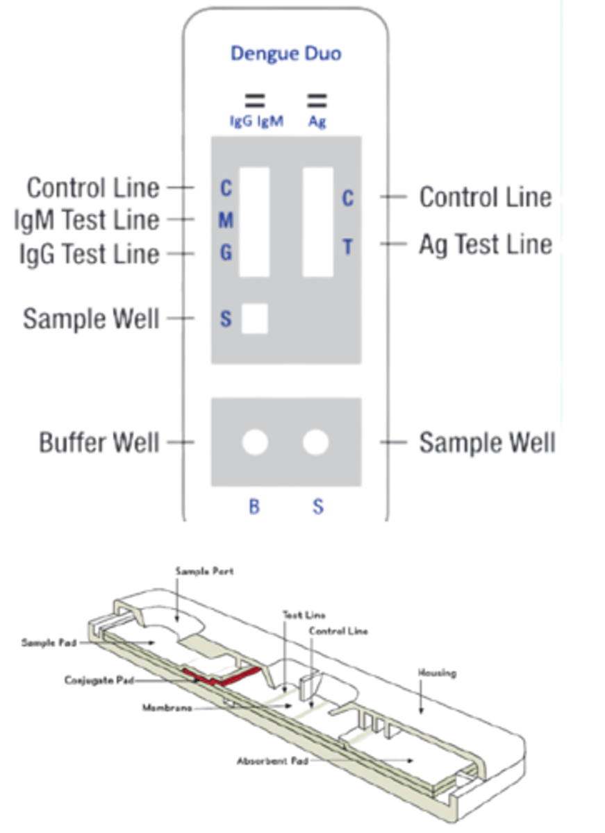 <p>What do you call the testing device?</p>