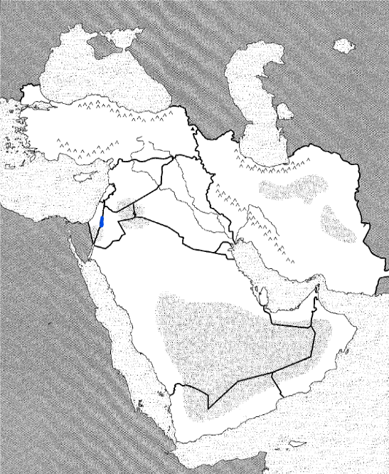 <p>Physical</p>