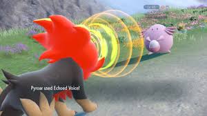 <p>If concerns echoed, what does that mean?</p>