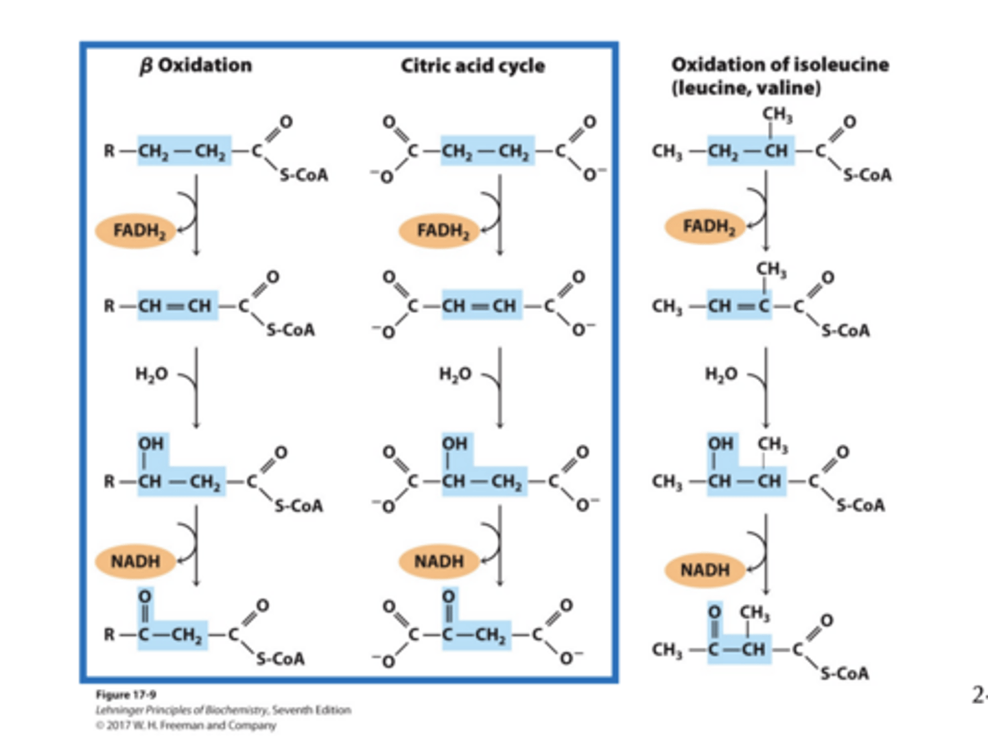 <p>not tested on 3rd column</p>