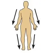 <p>Farther from, or \n away from the \n point of \n attachment to the \n trunk of the body (The knee is \n distal to the \n thigh.)</p>