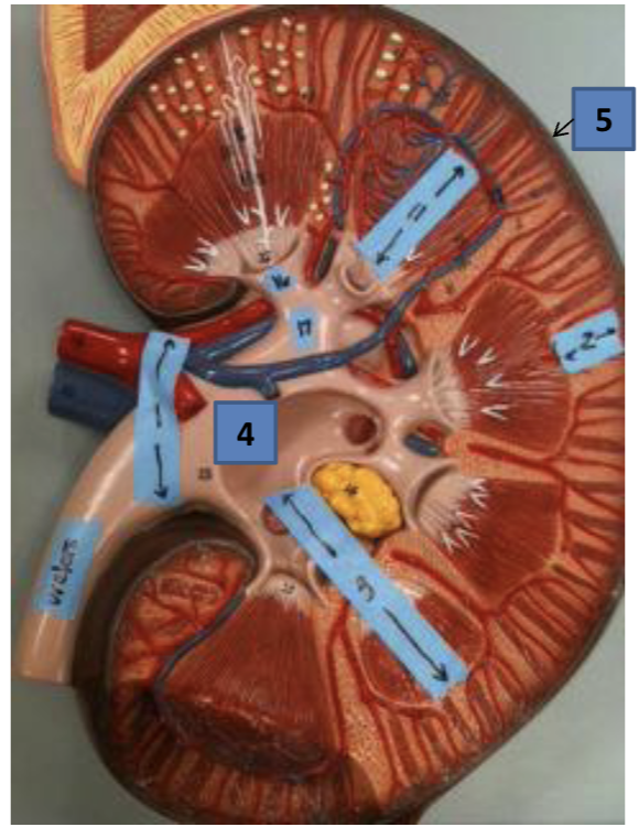 <p><strong><em>#1</em></strong></p>
