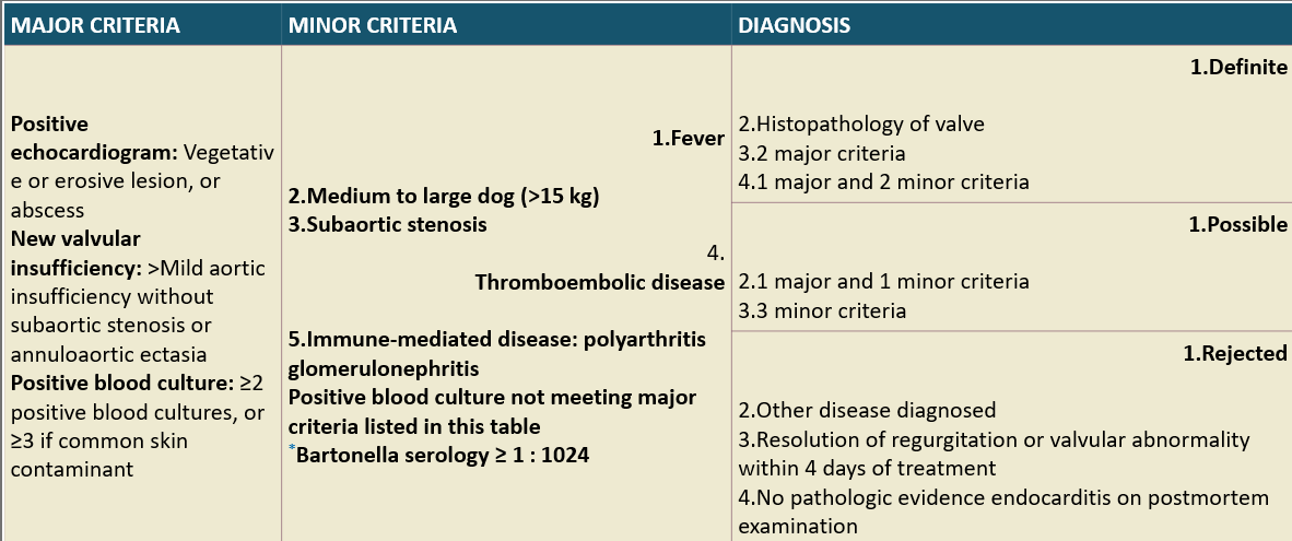 <p>Minor cirteria</p>