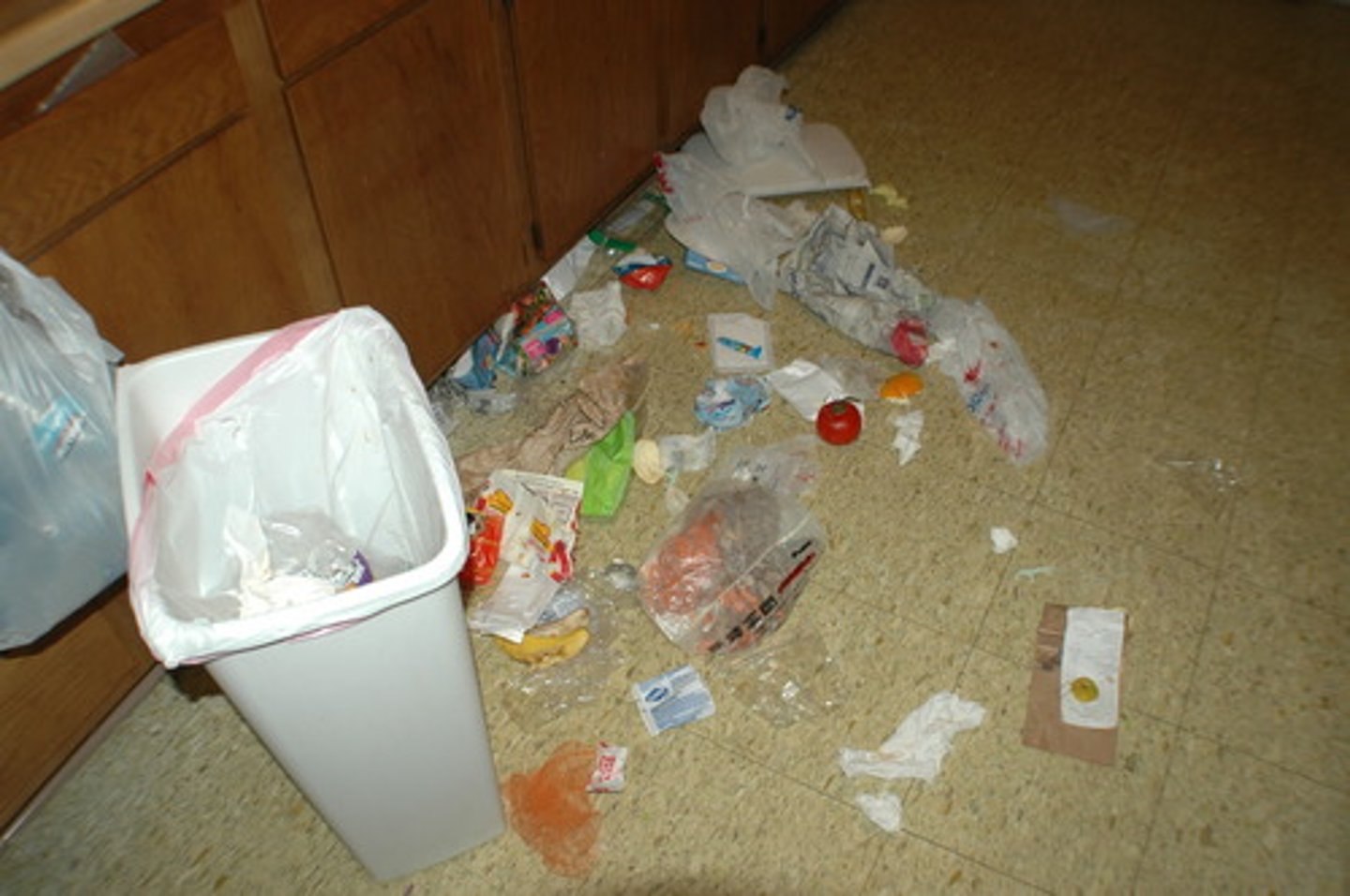 <p>garbage or trash</p>