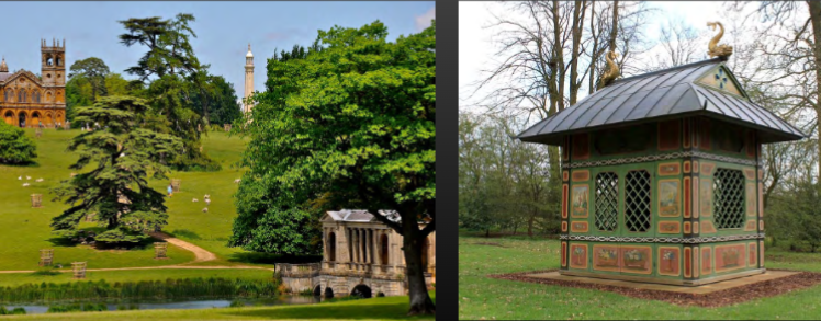 <p>What do these pictures show?</p>