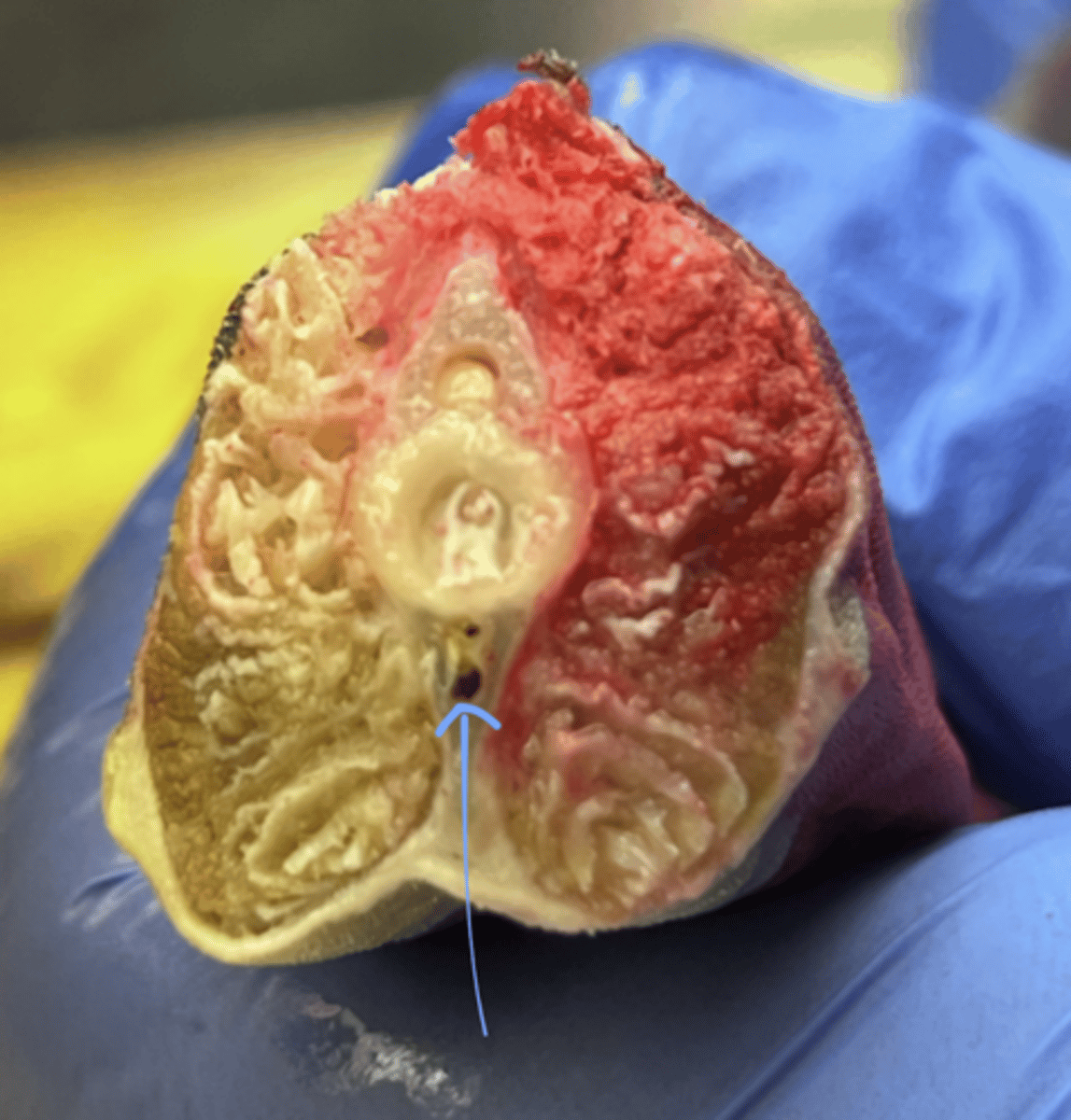 <p>what is this?</p>