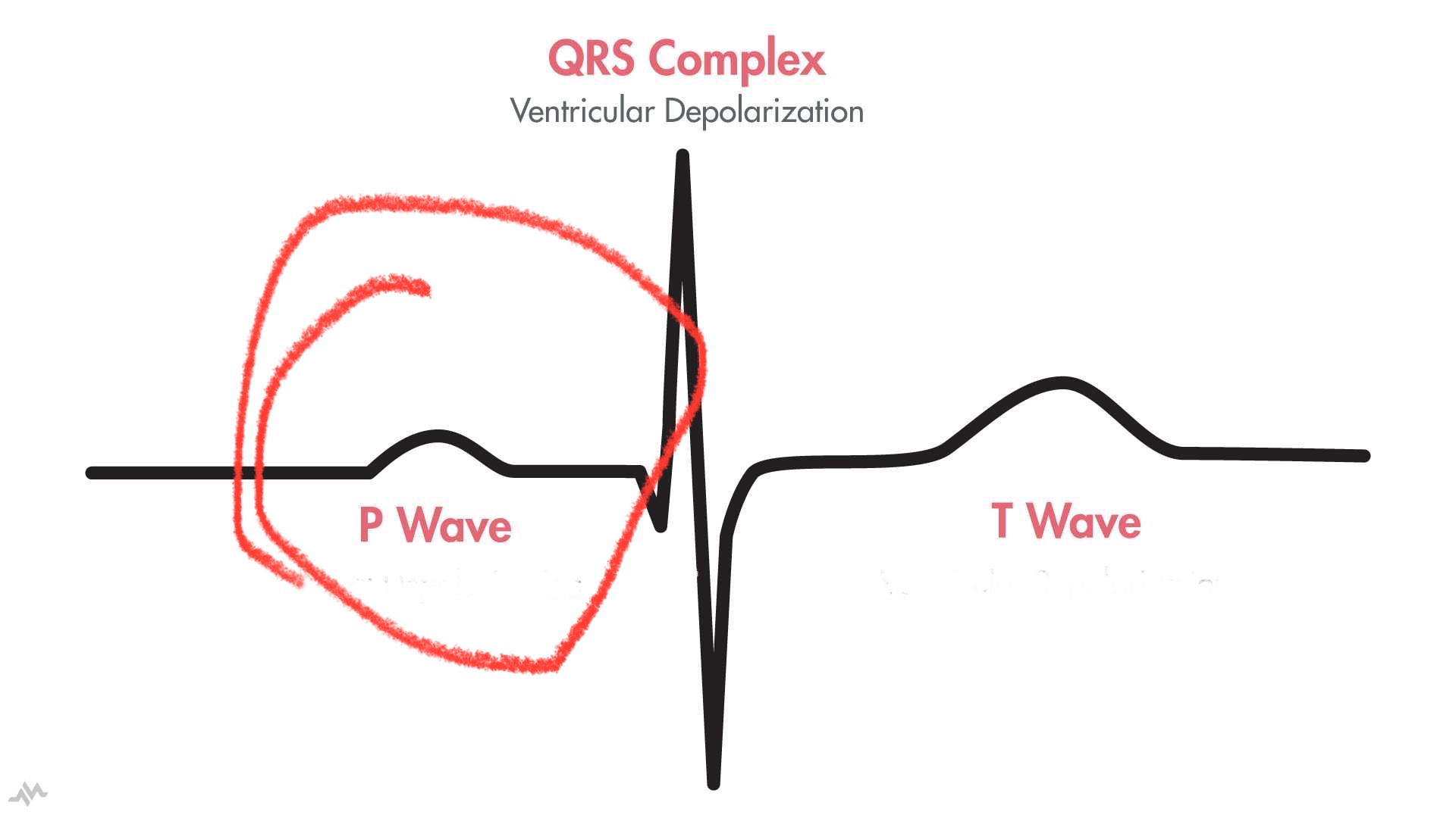 <p>what is the p wave </p>