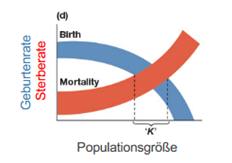 <p><span style="font-family: &quot;Calibri&quot;, sans-serif">→ Populationsgröße am Schnittpunkt von Geburten- und Sterberate</span></p><p><span>·</span><span style="font-size: 7pt; font-family: &quot;Times New Roman&quot;">&nbsp;&nbsp;&nbsp;&nbsp;&nbsp;&nbsp; </span><span>Realistisch eher ein Wertebereich</span></p>