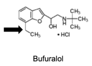 <p>Name Enzyme&nbsp;</p>