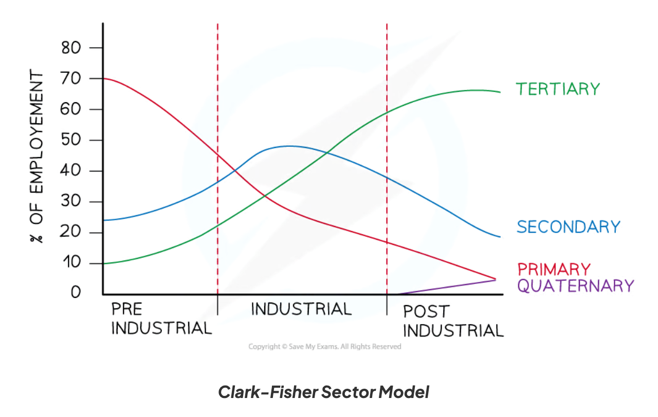 <p>Shows how economies develop over time.</p>