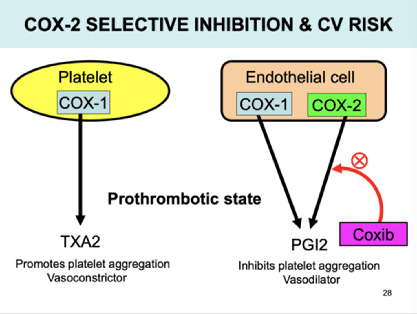 <p>Celebrex (celebroxib)</p><p>Mech: only blocks COX2</p><p>Use: anti-inflammatory, antipyretic and analgesic</p><p>SE</p><p>-Increased risk for MI or stroke</p>