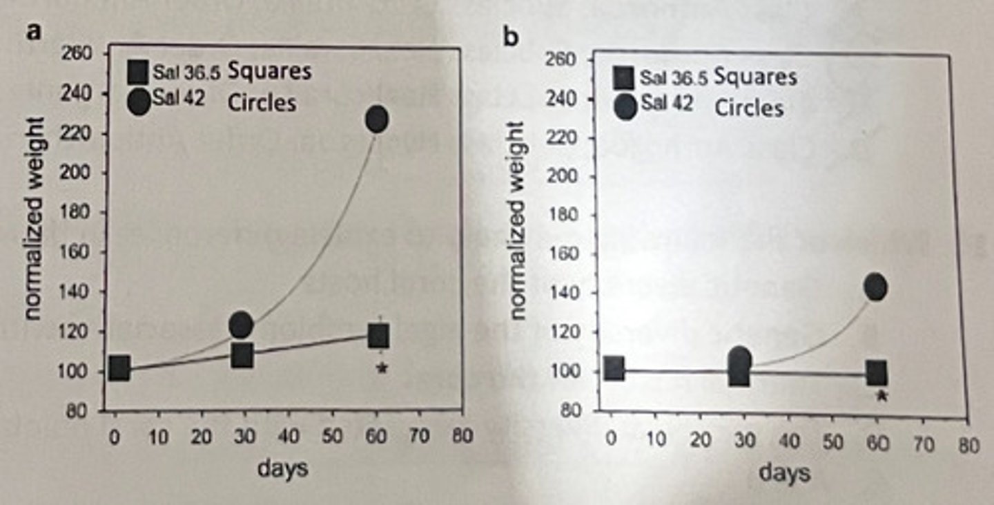 <p>The corals were taken from the Persian Arabian Gulf</p>