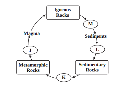 <p><span>What process is occurring at letter "M" in the diagram of the rock cycle?</span></p>