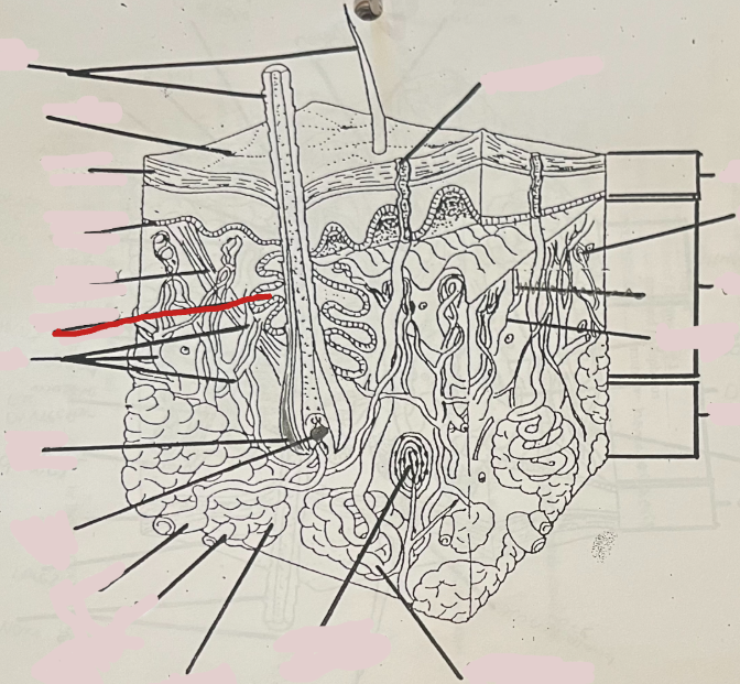 <p>What is this?</p>