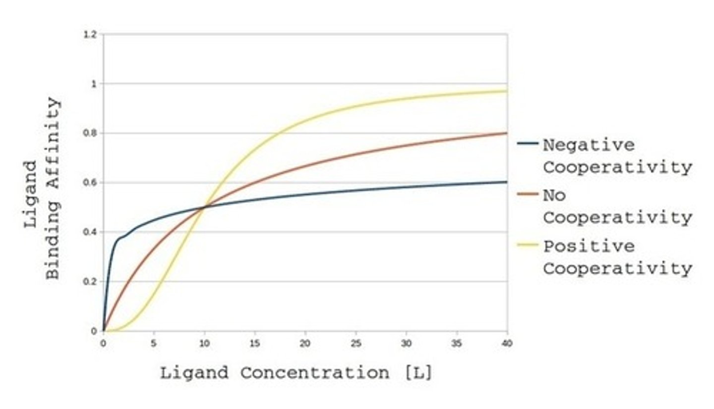 <p>An enzyme with non-cooperative binding will have a hyperbolic shaped curve.</p><p>An enzyme with positive-cooperative binding will have a sigmoidal "S" shaped curve.</p><p>An enzyme with negative-cooperative binding will have an altered hyperbolic shape with a steeper initial curve than non-cooperative binding.</p>