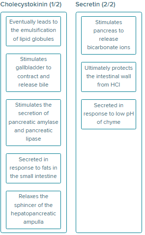 <p>CCK: eventually leads to the emulsification of lipid globules, stimulate gallbladder to contract and release bile, stimulate the secretion of pancreatic amylase and lipase, secreted in response to fats in the small intestine, relaxes the sphincter of the hepatopancreatic ampulla</p><p>secretin: stimulate pancreas to release bicarb, protect the intestinal wall from HCl, secreted in response to low pH of chyme</p>