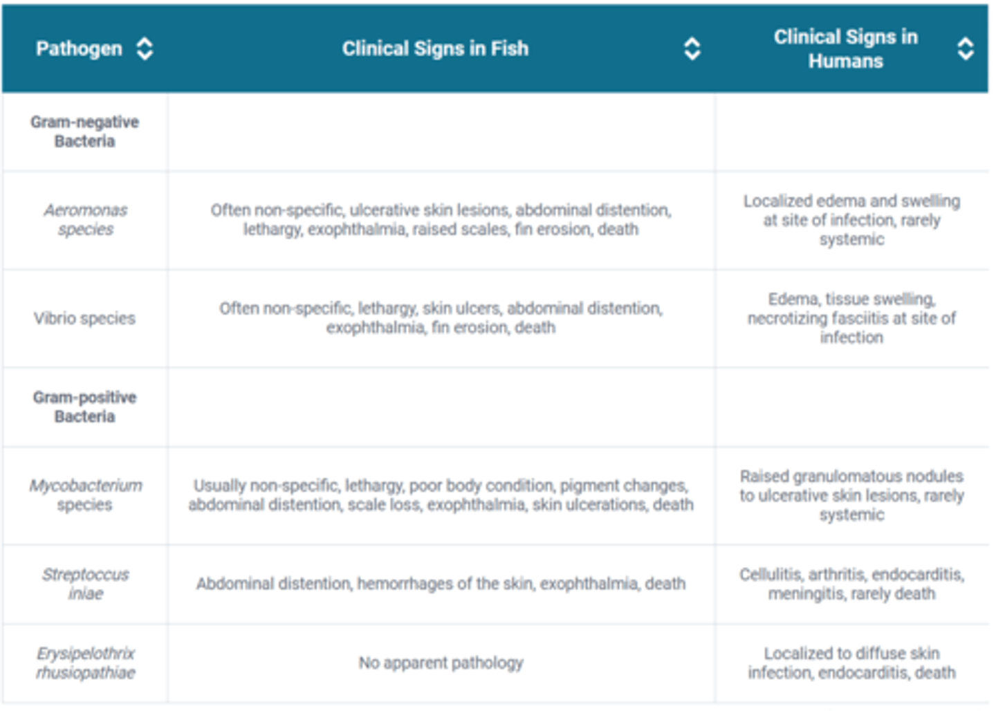 <p>-Aeromonas spp.</p><p>-Vibrio spp.</p><p>-Mycobacterium spp.</p><p>-Streptococcus iniae</p><p>-Erysipelothrix rhusiopathiae</p>