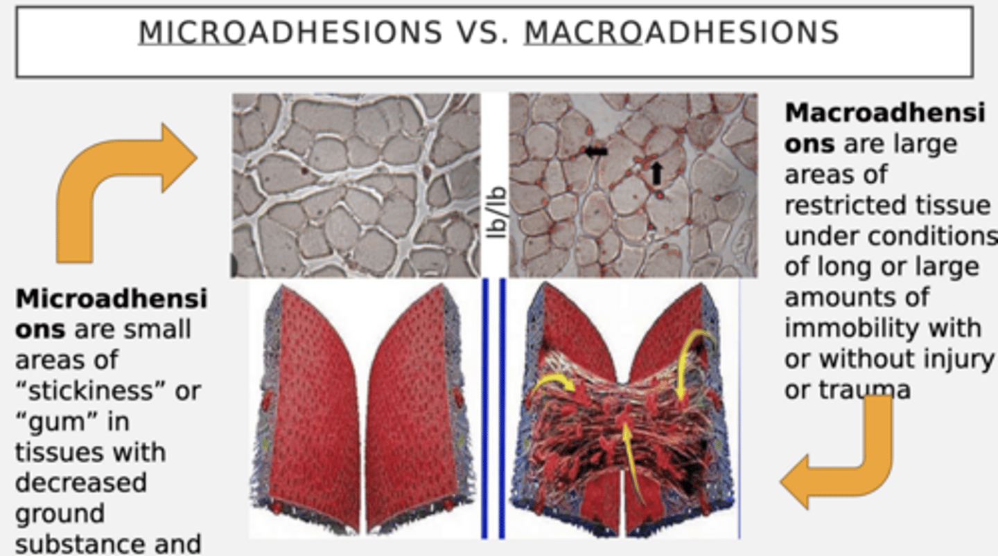 <p>Same process, only difference is magnitude</p>