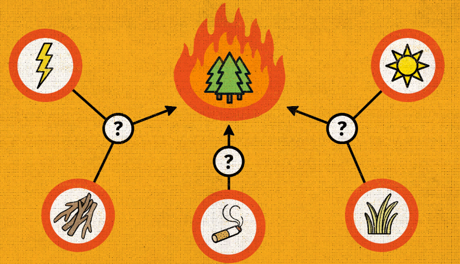 <p>one event or variable (the cause) leads to a change in another event or variable (the effect</p>