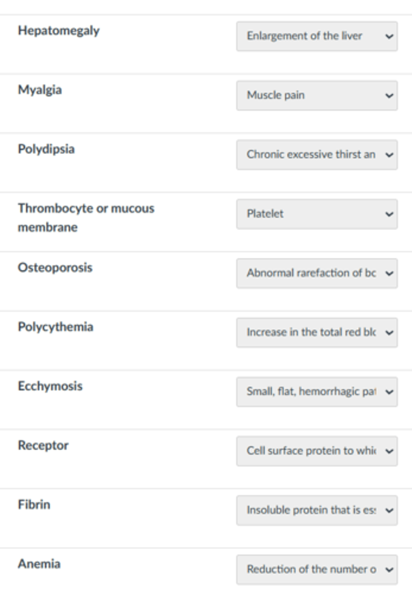 <p>thrombocyte</p>