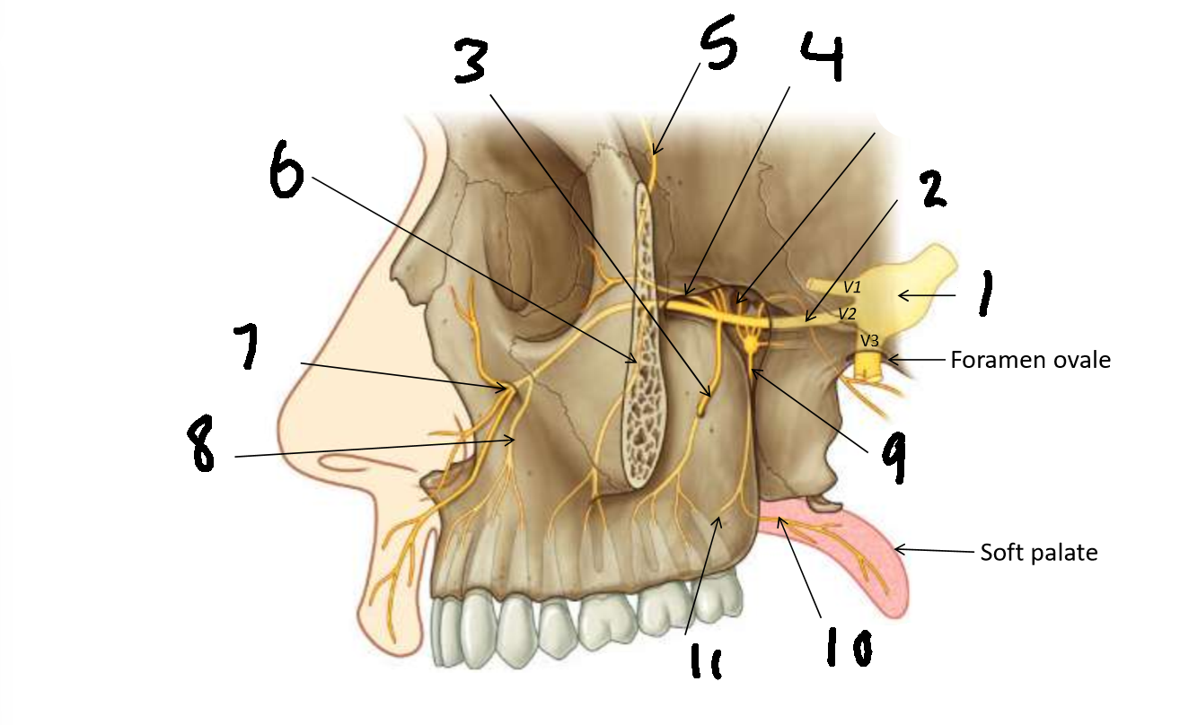 <p>What is 5?</p>
