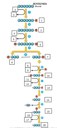 <p>Term 13?</p>