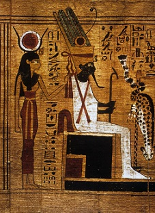 term image