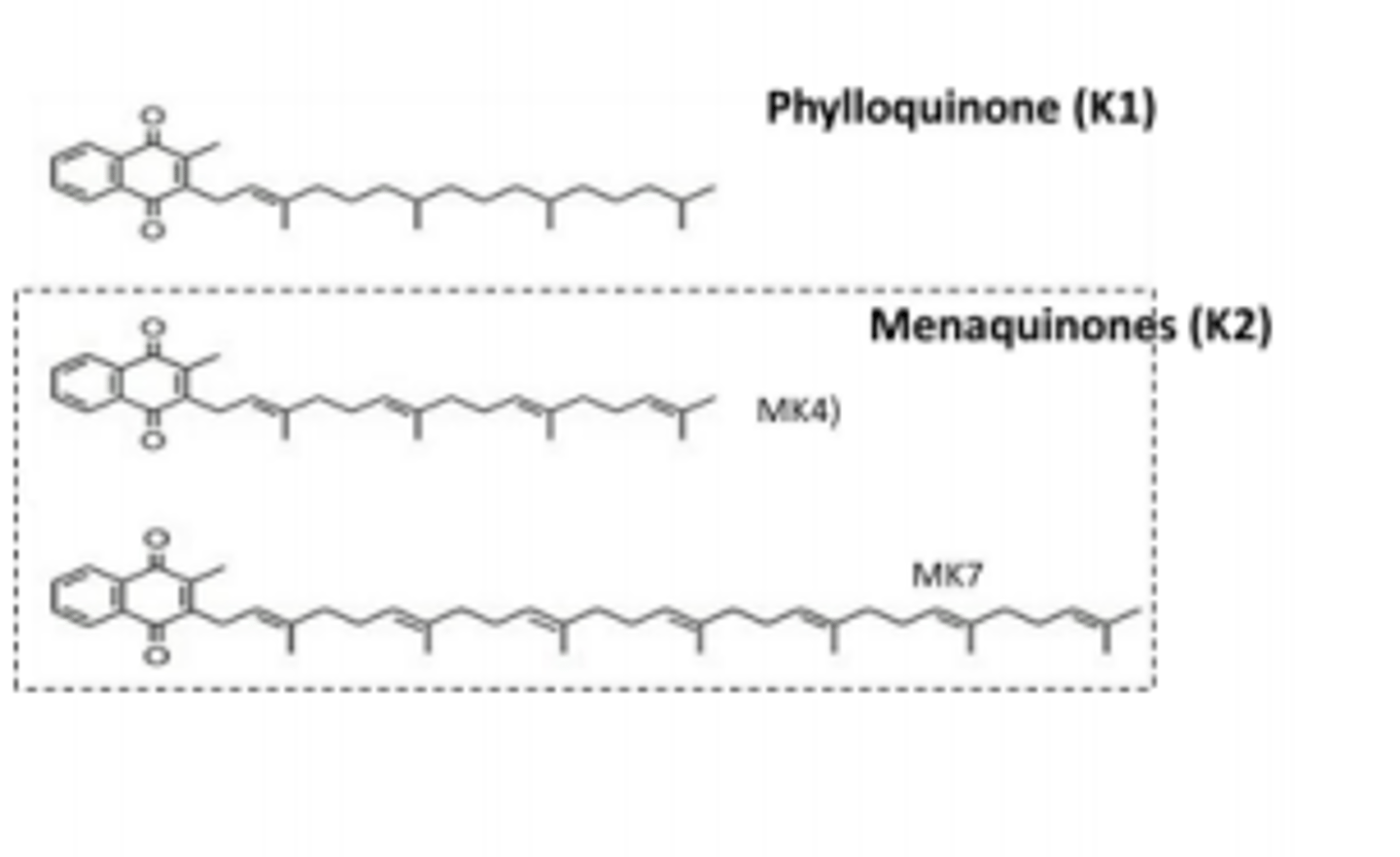 <p>Phylloquinone - Plant</p><p>Menaquinone - Animal & LI bacteria</p>