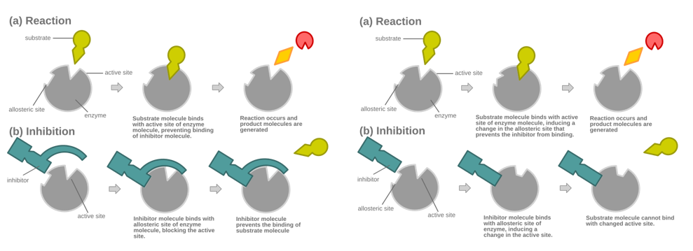 <p>Welke biochemische reactie wordt hier weergegeven (orthosterische / allosterische competitieve inhibitor, niet-competitieve modulator)?</p>