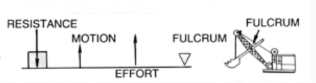 <p>Class 3 - like a fishing pole<br>Fulcrum is the TMK and the load is where the food goes</p>