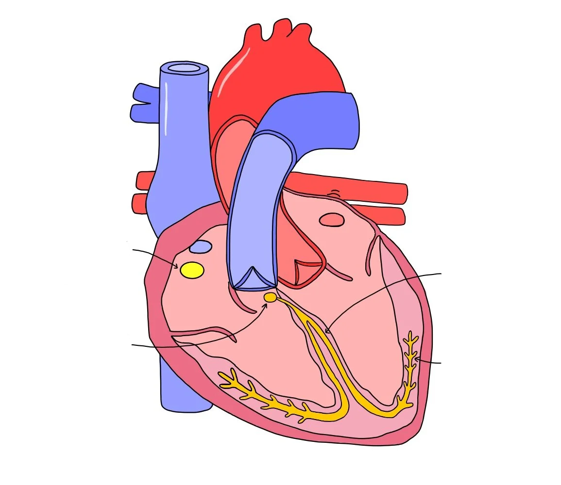 <p>Label this diagram</p>
