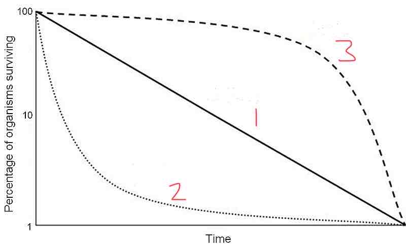 <p>What type of survivorship curve is represented by line 3?</p>