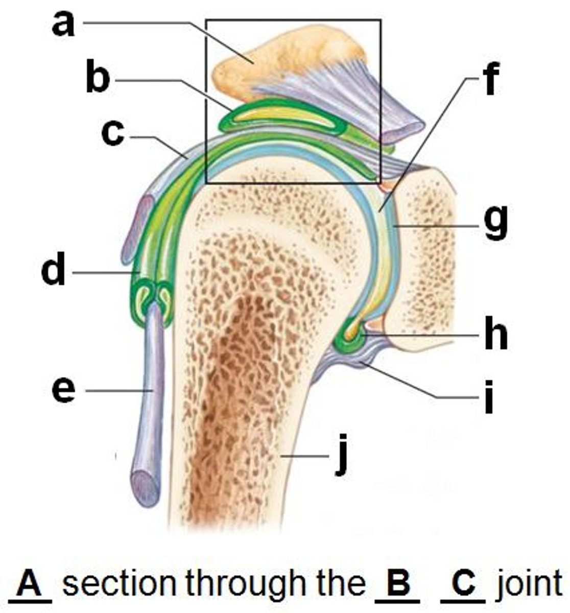 <p>look at b</p>