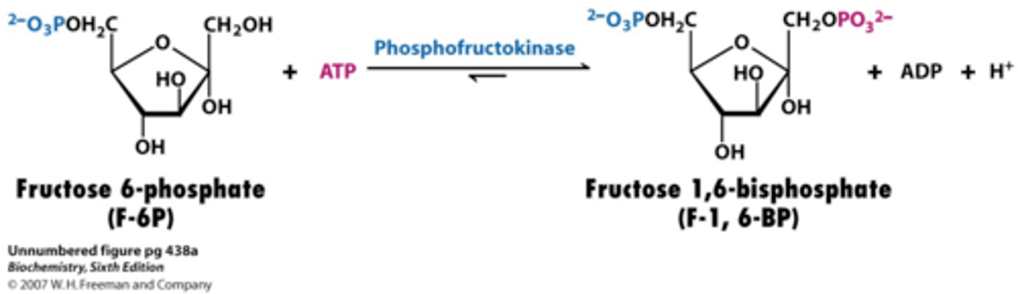 <p>f6p -&gt;f1, 6p</p>