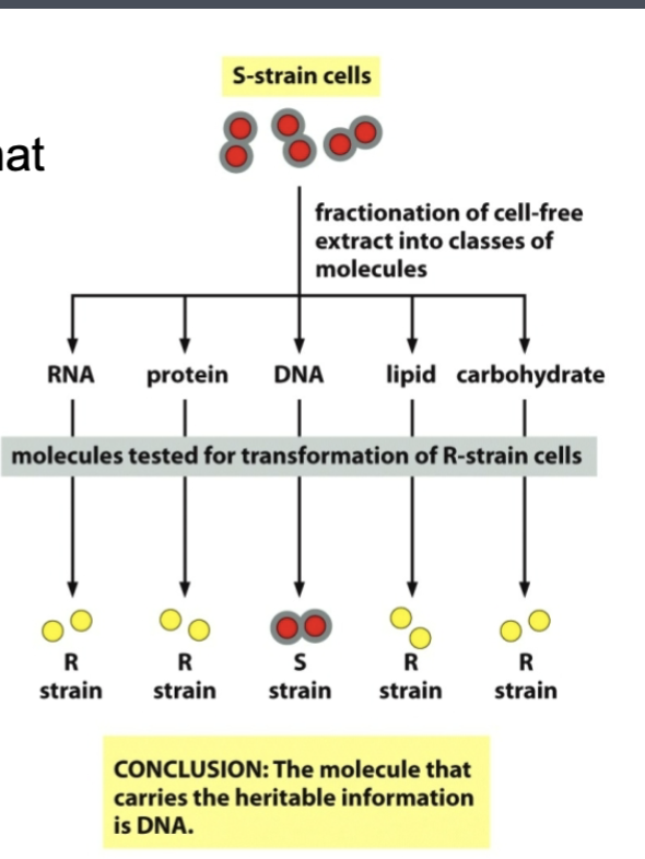 <ul><li><p>a mixture of things has an effect on something</p></li><li><p>separate the components, see which one has the effect</p></li></ul><p></p>