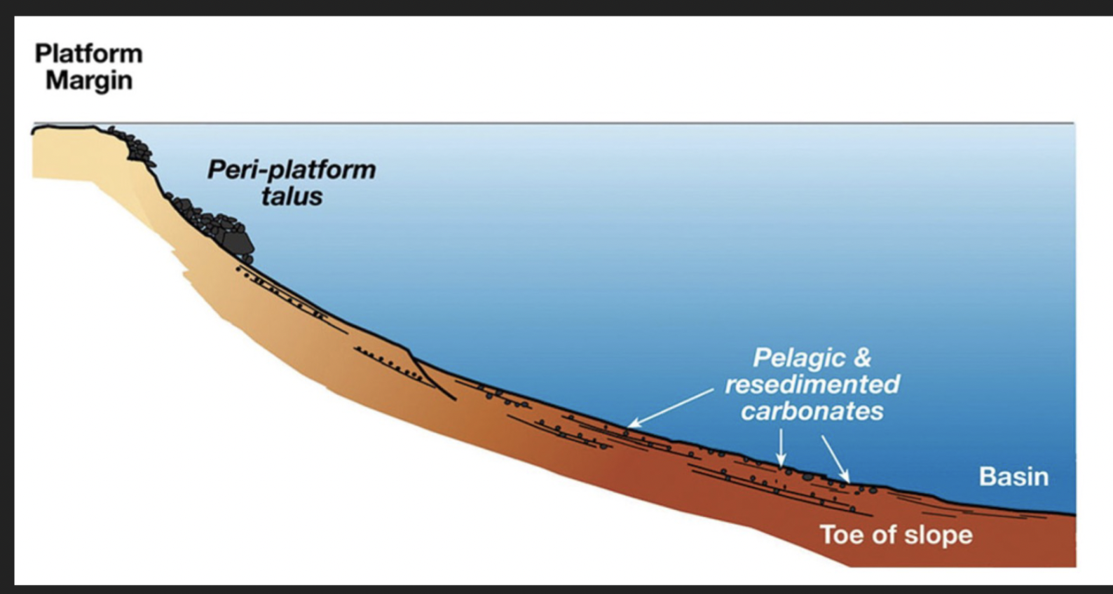 <ol><li><p>Pelagic factory</p></li><li><p>Periplatform (re-sedimented)</p></li></ol>
