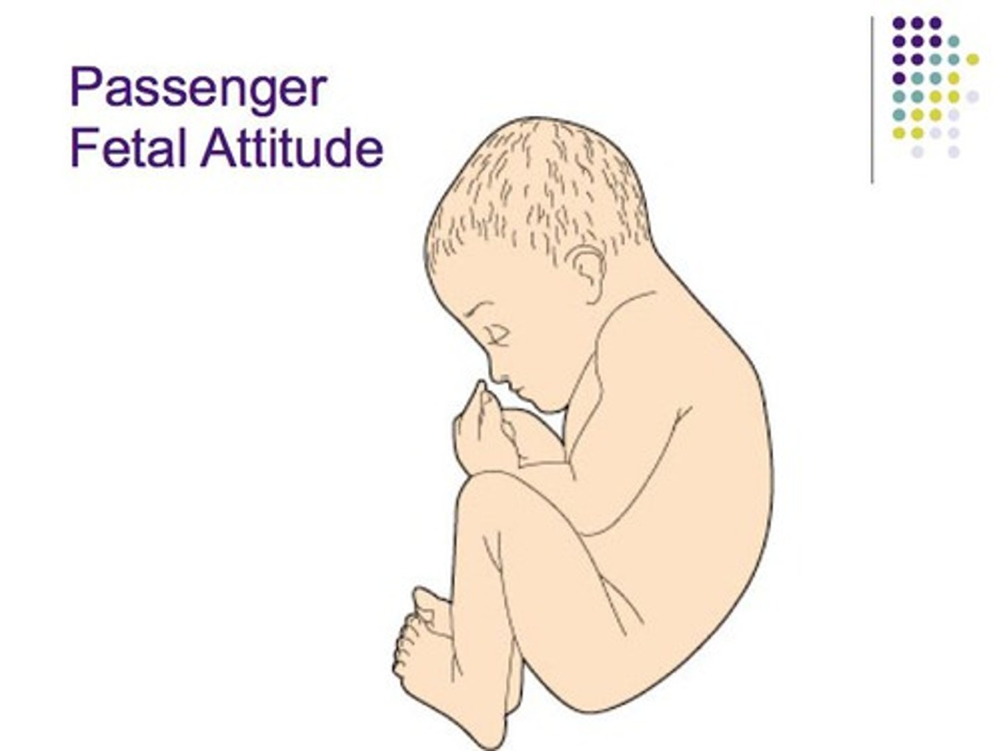 <p>chin to chest</p>