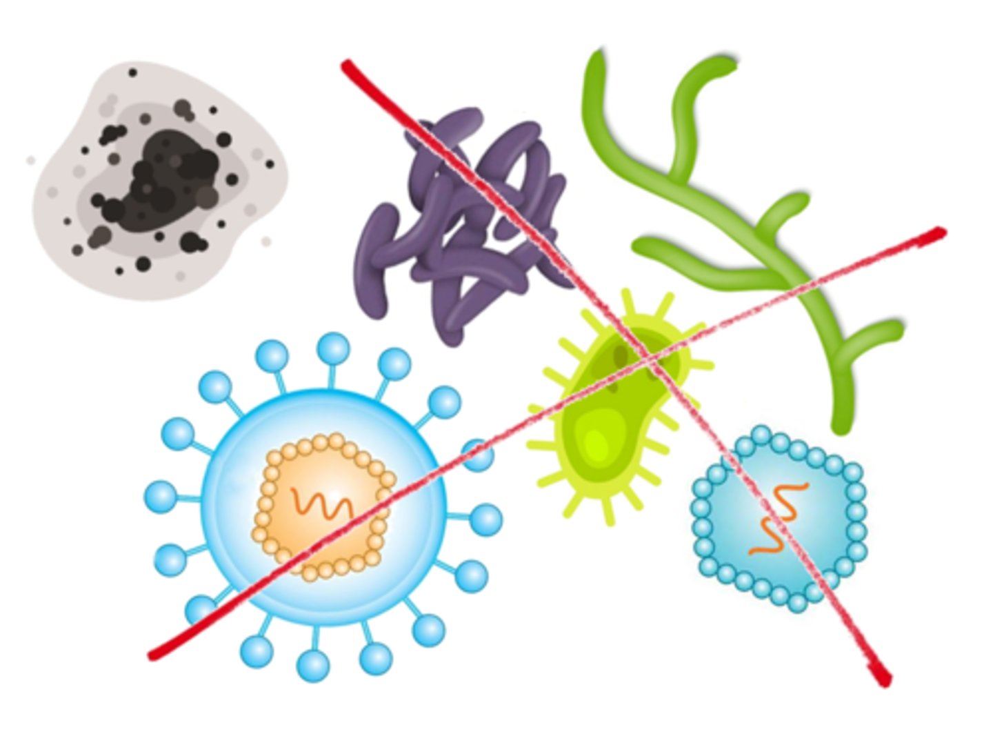 <p>the destruction of viruses, mycobacteria, fungi, &amp; vegetative bacteria (but not bacterial spores)</p>