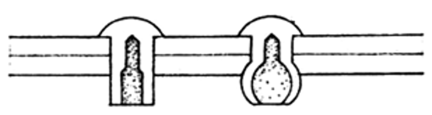 <p>used when a joint is accessible from one side only, have an explosive-filled shank that is detonated by striking the head with a hammer to expand the shank on the far side of the hole.</p>