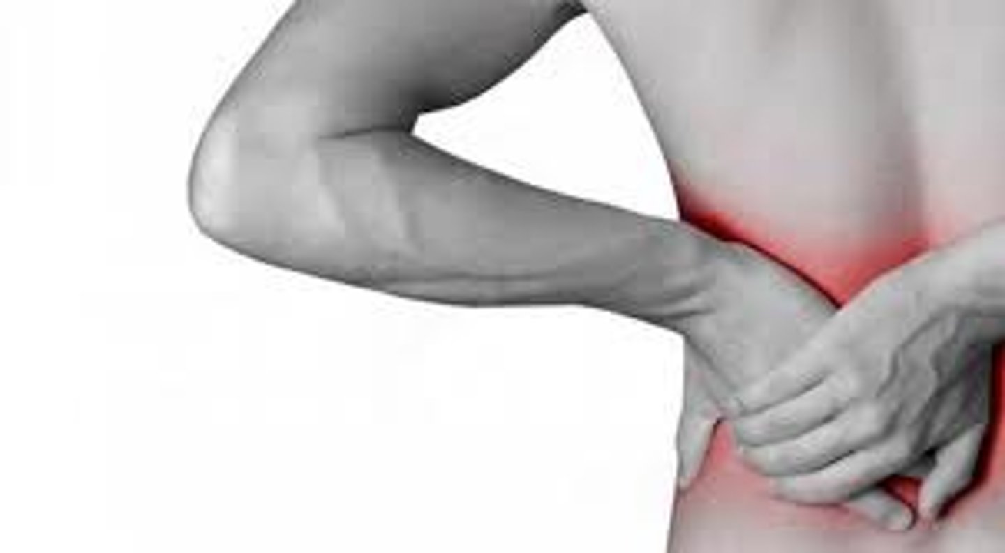 <p>to have pain in the _______________</p>