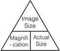 <p>size of image/ magnification</p>